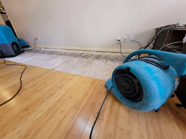 Professional Flood Damage Cleanup technician working in Horatio, AR